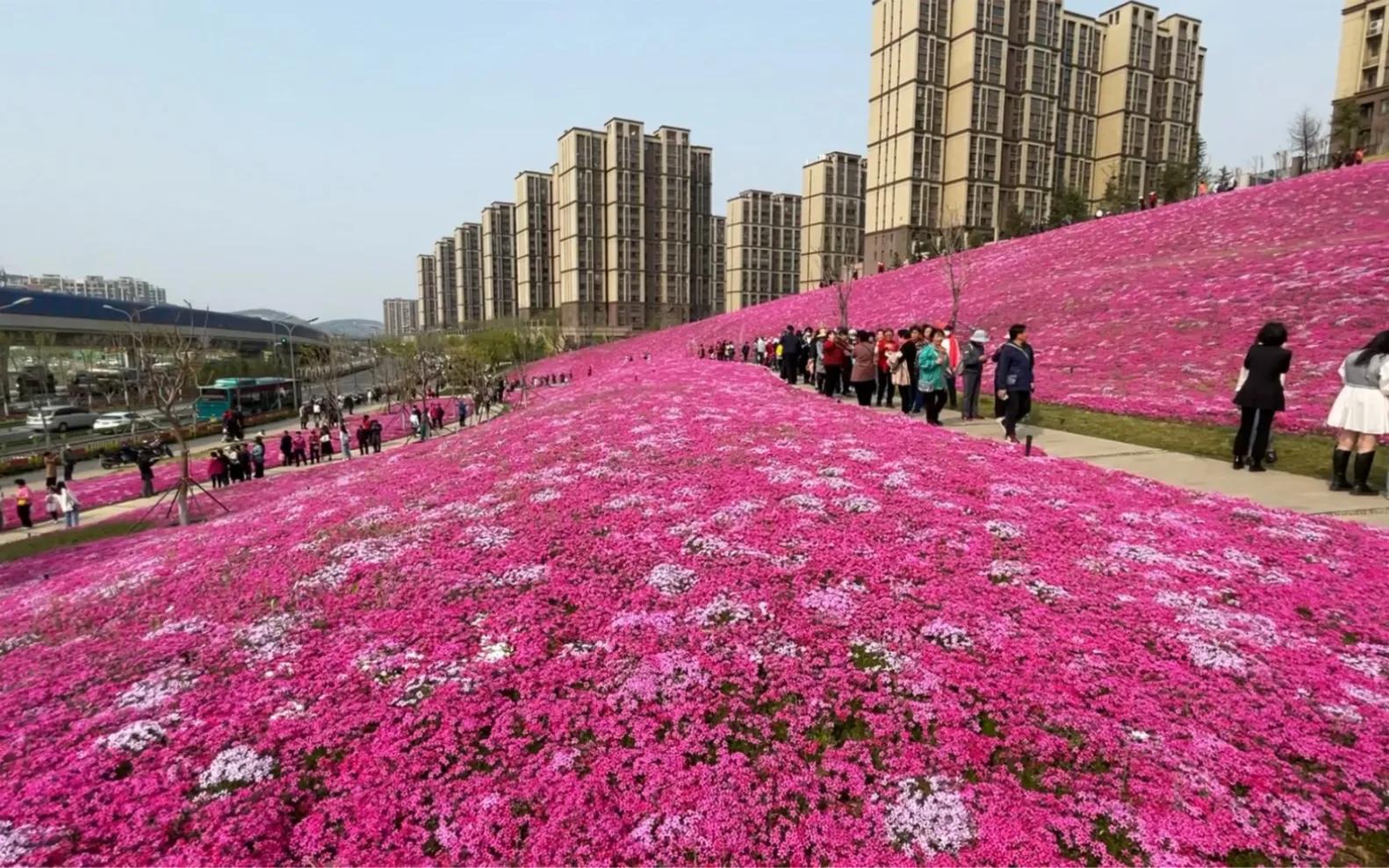 济南阳光100往南有什么好玩的,济南阳光100附近公园