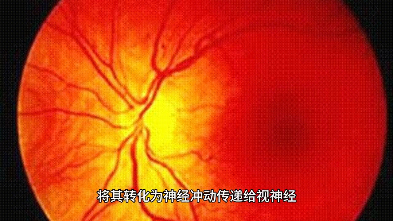 如何通过大脑训练提升视力？推荐六个练脑子的方法-脑博士