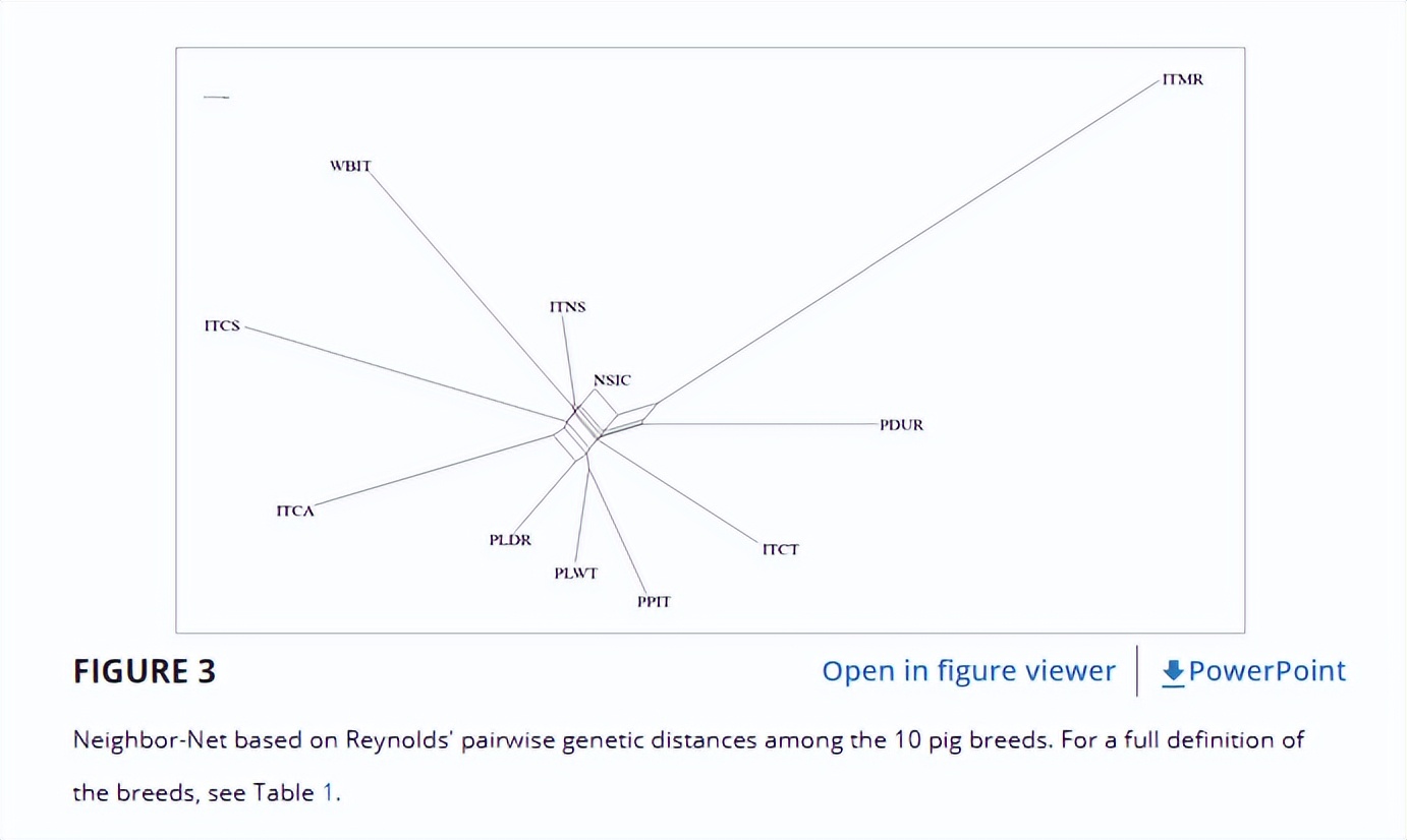 西西里尼罗猪的全基因组群体在意大利和世界性品种的框架