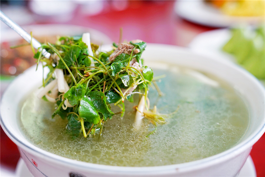 海南适合自驾的原始森林,海南黎族游玩攻略自驾游