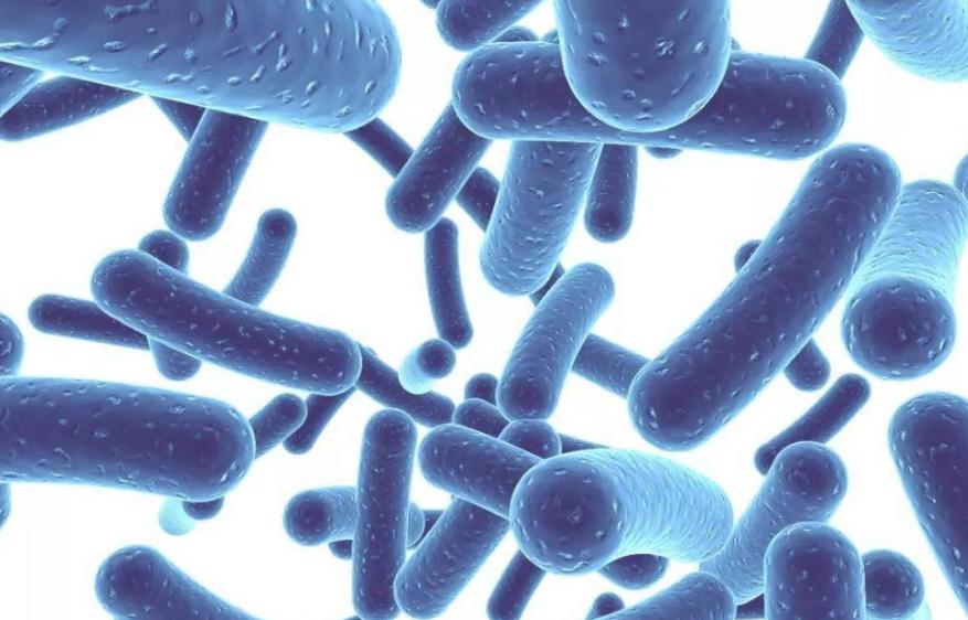 内裤好多分泌物代表什么,女性裤头总有异味怎么回事