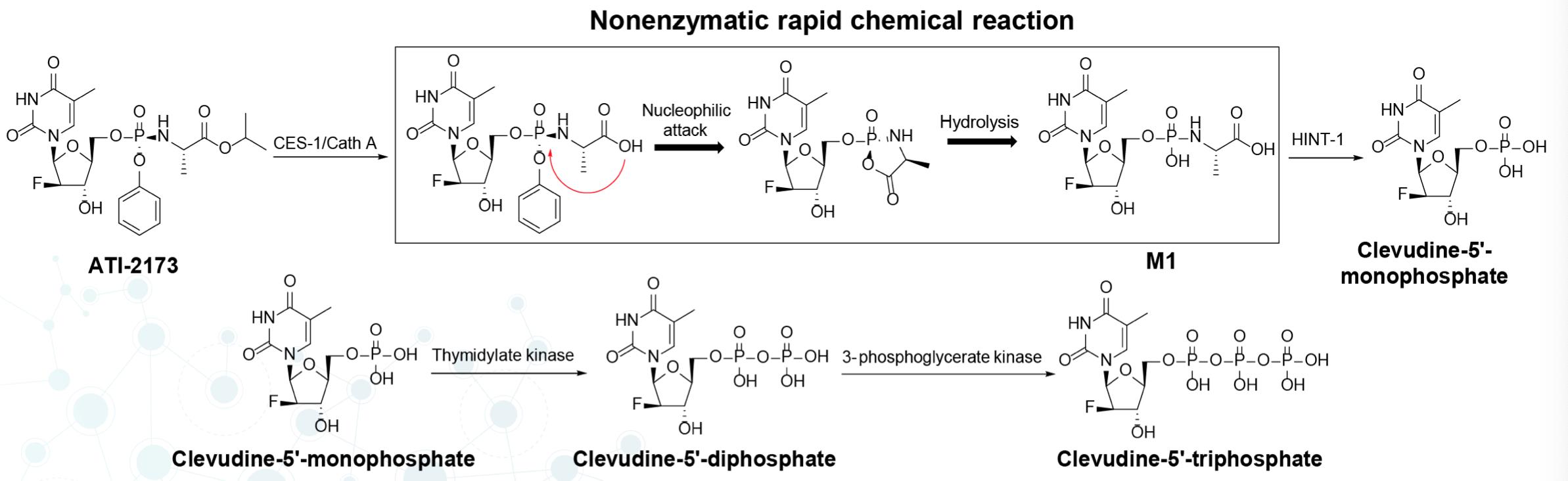 乙肝抗病毒药物前沿特点,乙肝抗病毒新药全球最新研究成果