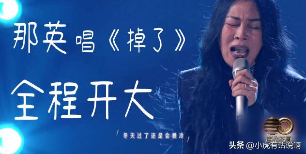 那英声生不息宝岛季评价,声生不息宝岛季那英赢了多少场