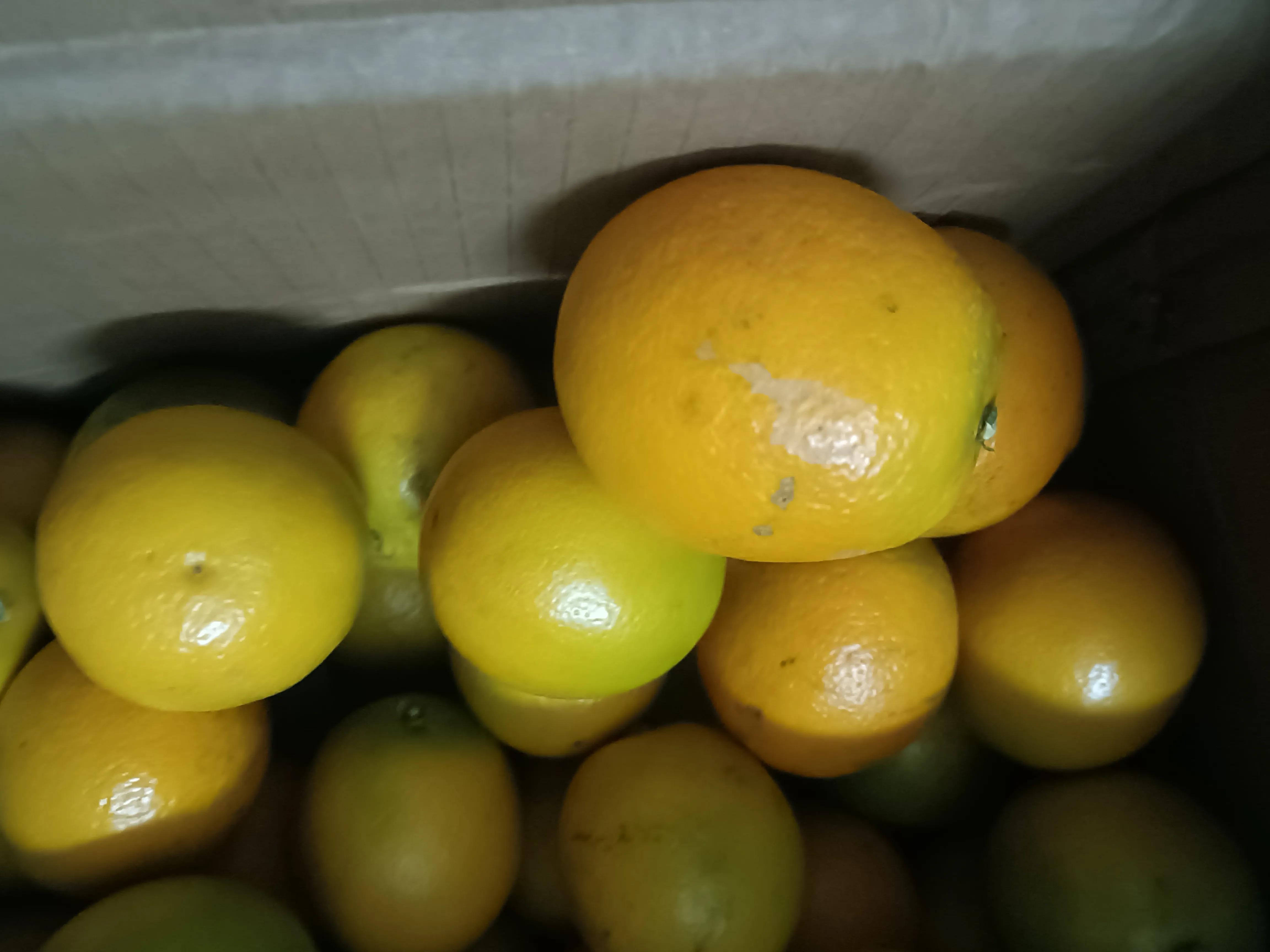 网购水果会不会上当受骗,网购水果需谨慎呀