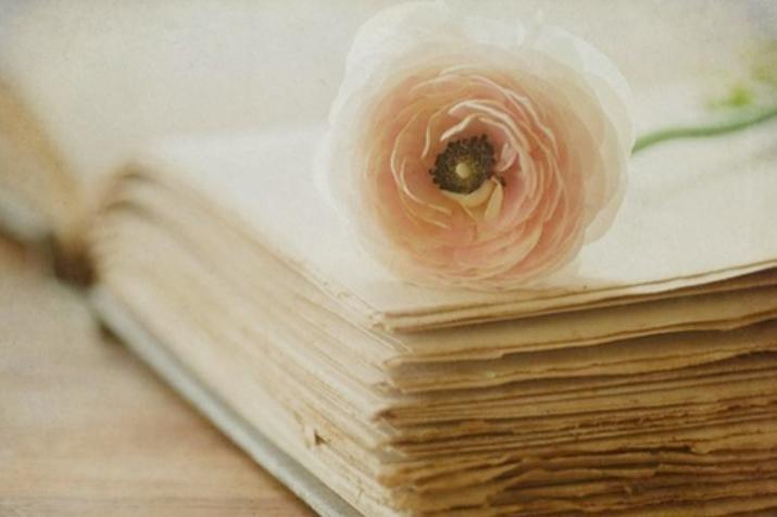 帮人三忙一生灾殃什么意思,帮人三件事