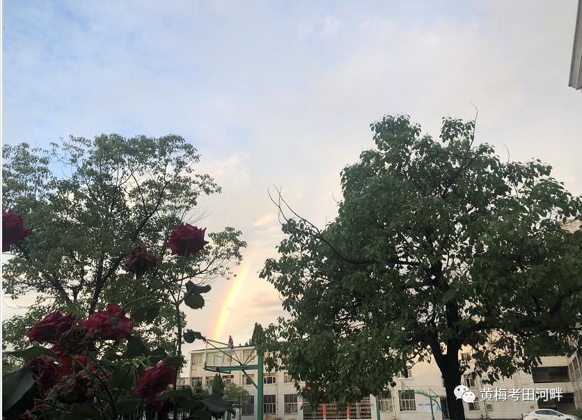 体制内如何转行当老师,国企裸辞转行