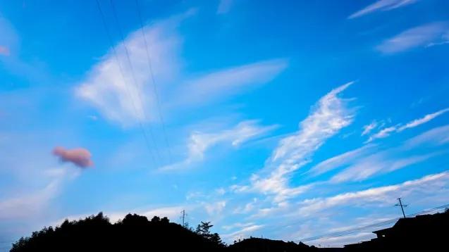 情人节老婆给老公发1314红包,老公情人节给别人发了131.4的红包