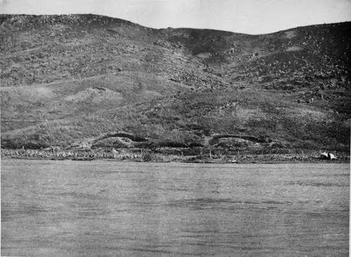 富二代飞行员陈怀民，22岁与敌撞机牺牲，女友殉情，母亲哭瞎眼睛