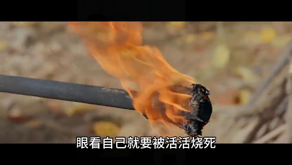 连蔓儿与沈诺第几集在一起,连蔓儿和沈诺会在一起吗