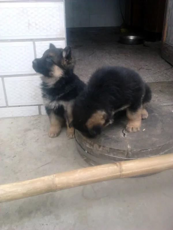 世上只有妈妈好爸爸也不错,世上只有妈妈好爸爸不好吗