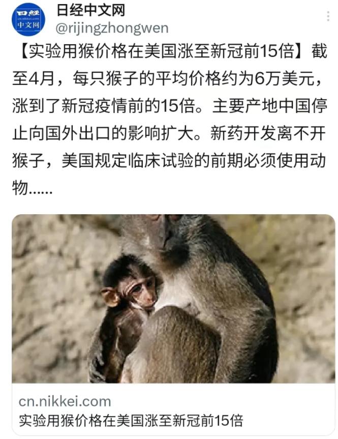 美国真的好吗视频,美国真的值得去么