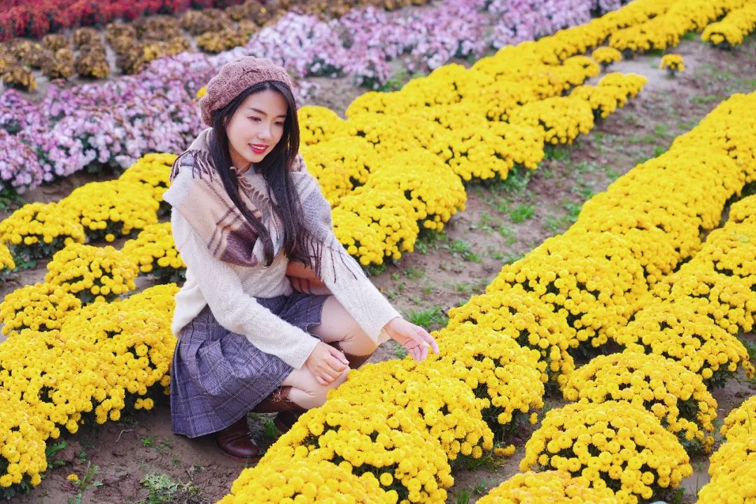 盐城值得去的地方,盐城市区有什么值得去的地方