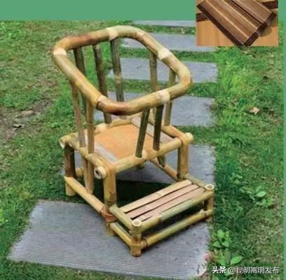 花博会云南,花博会来了