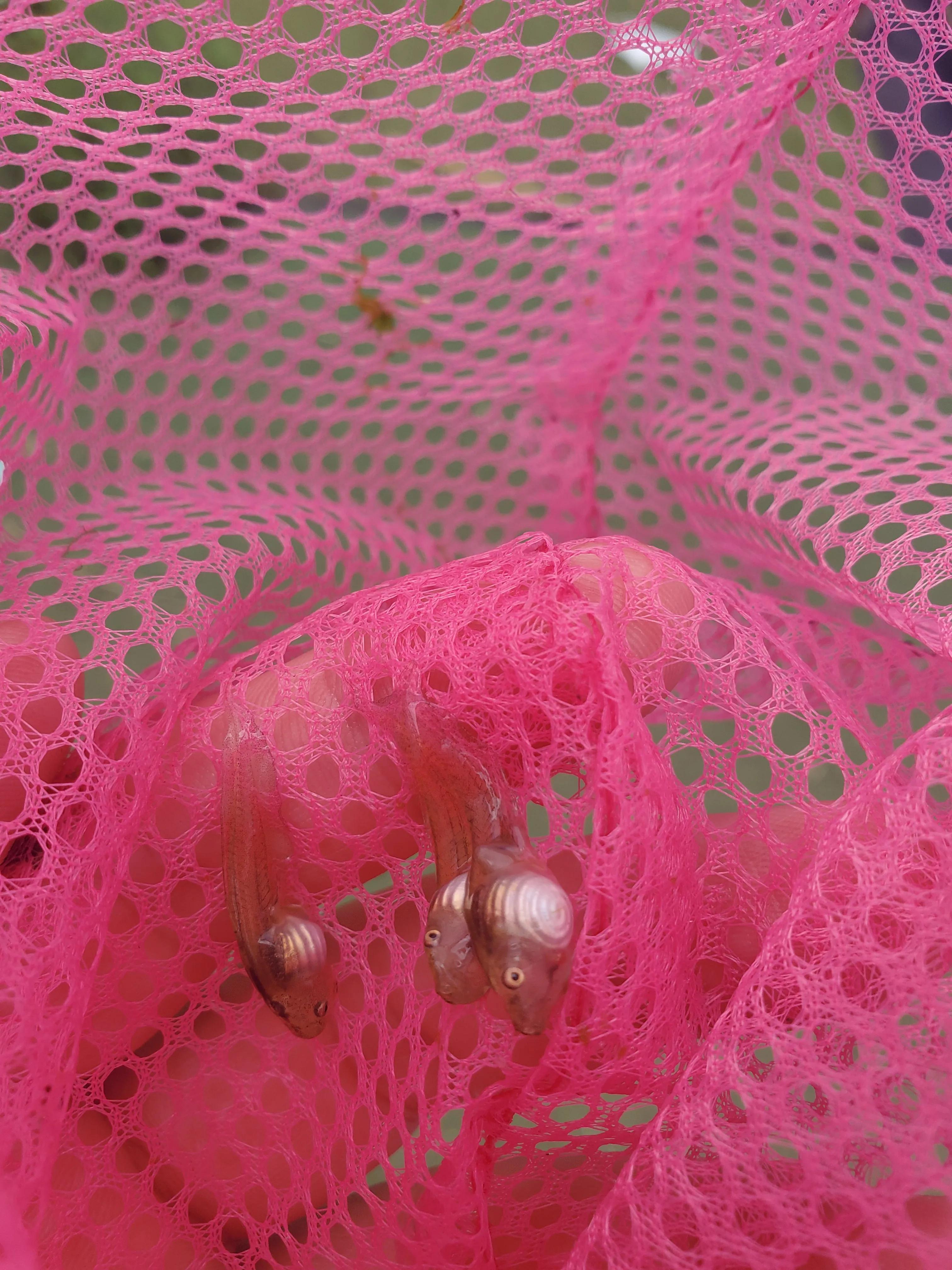 深圳踩坑亲子游之“女博士生态庄园”