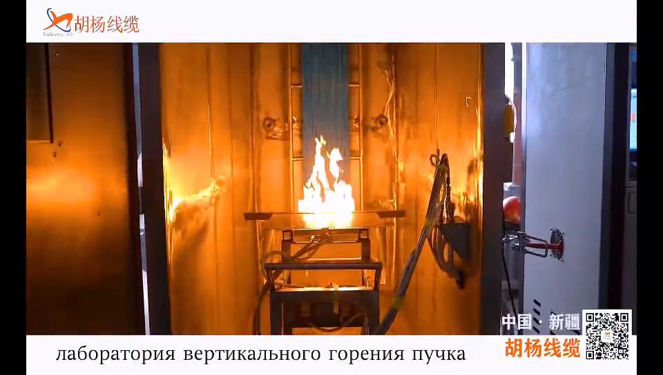 “一带一路”政策支持下,*疆新**胡杨线缆制造有限公司脱颖而出