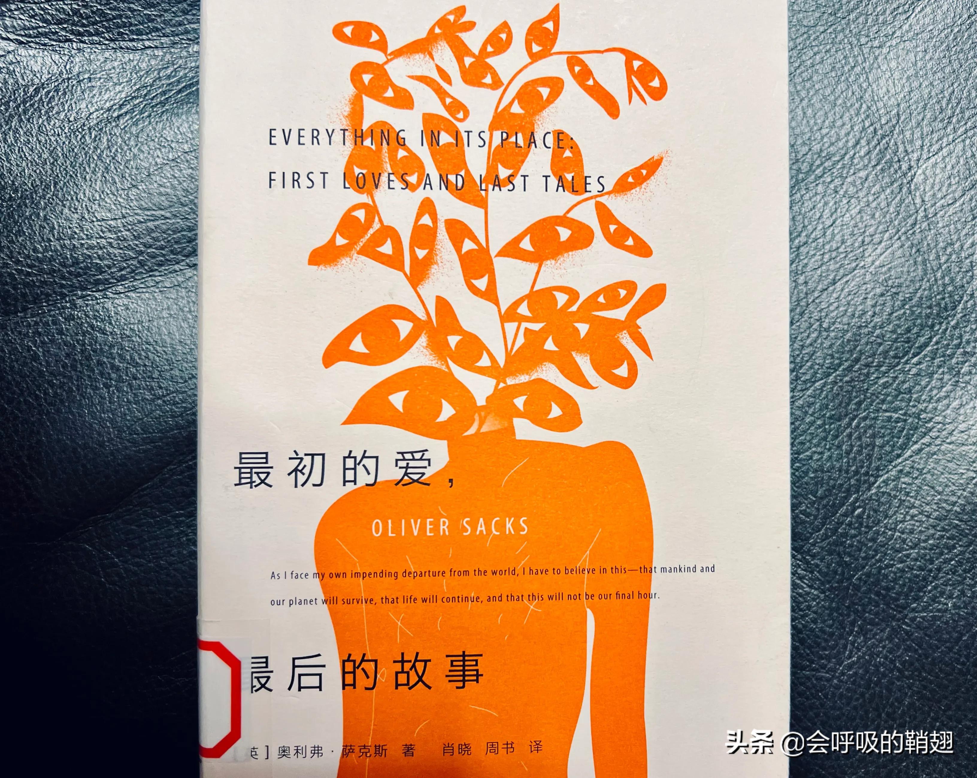 那些年我们读过的书读书心得,大学生必读的10本书读后感