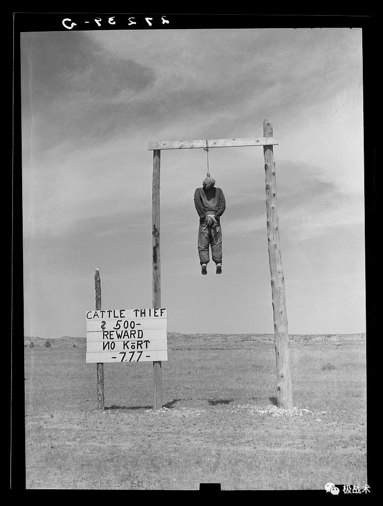 放牛的探员？《黄石》中的执法力量丨武装