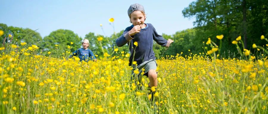 如何把握孩子身高发育关键期,想要长高要抓住四个关键点