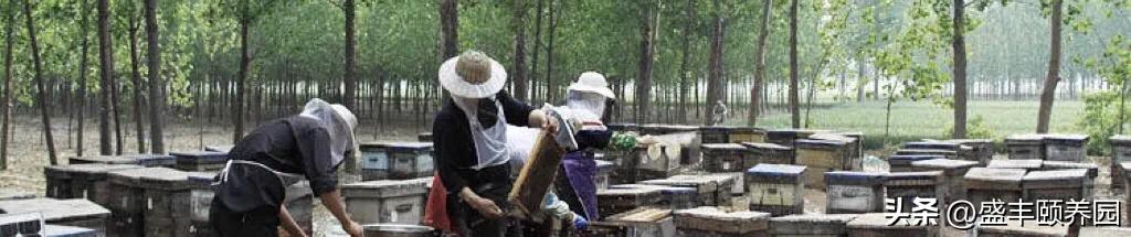 下班晚回家吃什么不长胖,上班族晚饭吃什么最简单又营养