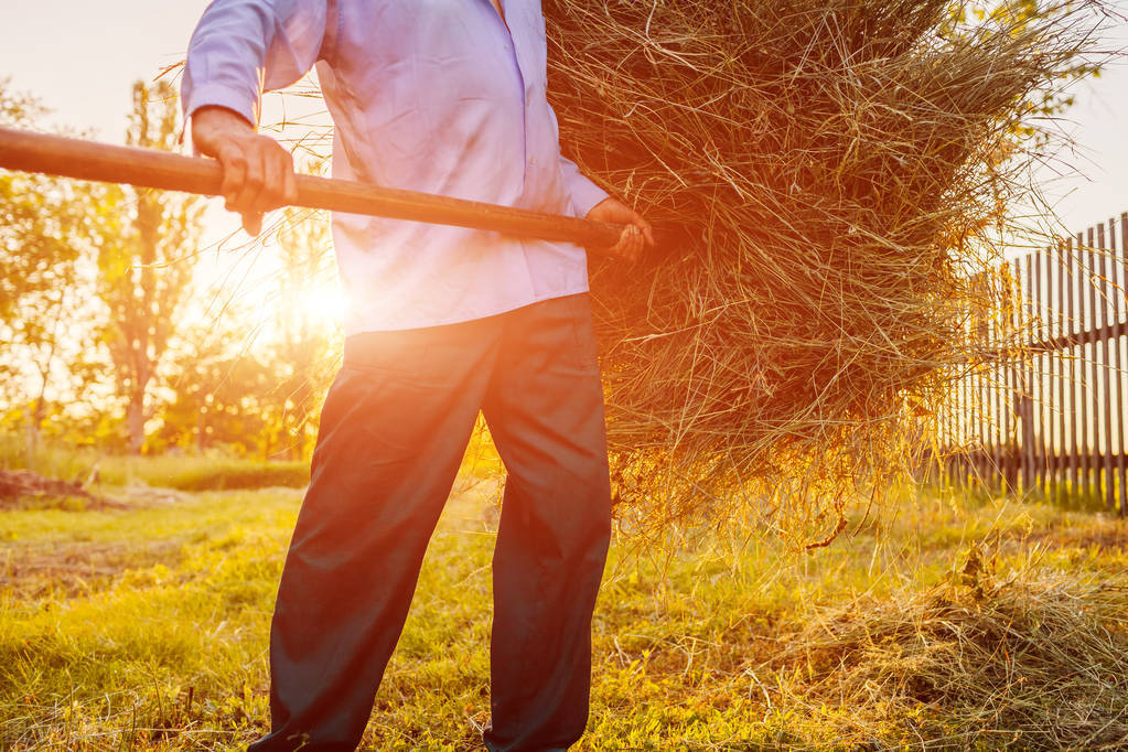 旧文阅读,旧文新读