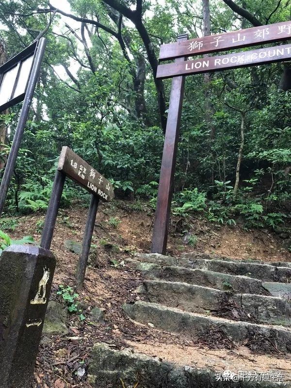 香港徒步麦理浩径全程攻略介绍,香港狮子山徒步攻略