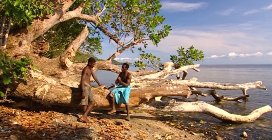 古老部落徒手捕鲨鱼,土著人原始部落捕猎鲨鱼