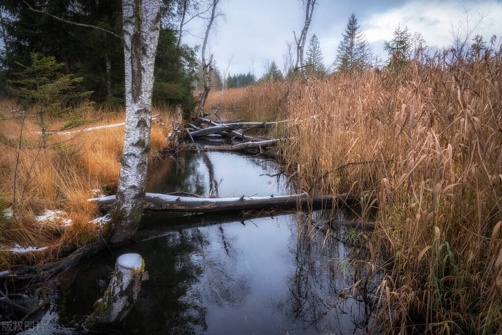 励志文案短句干净治愈人生,走心励志的文案句子简短一句话