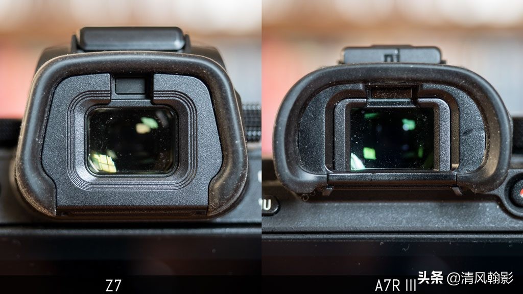 拍鸟用尼康d6好还是z7ii好,拍鸟买r6还是r5