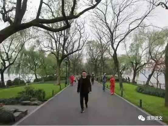 春天的寻找,新年的期许