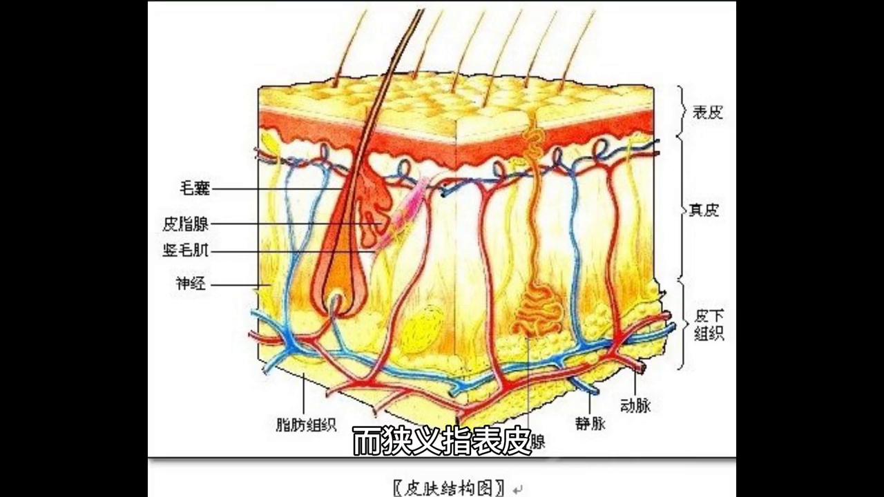 脸很干痒痒的红红的是什么原因,脸上老是红红不像普通人的皮肤