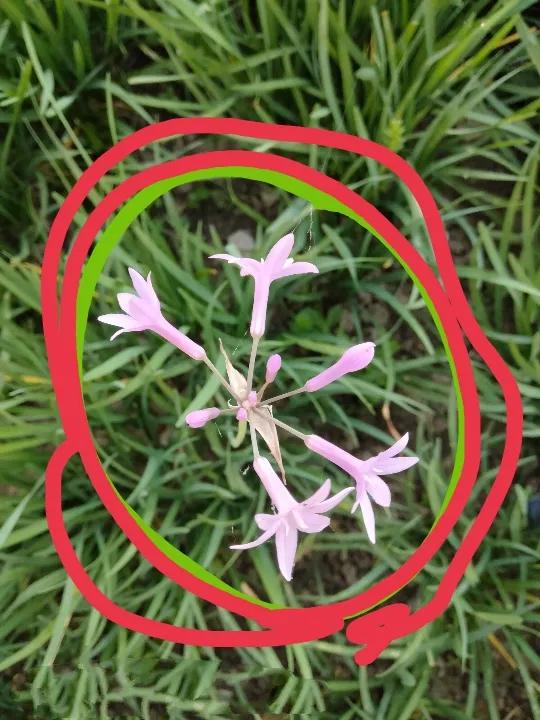 微信高效写作方法,微信平台文字写作技巧