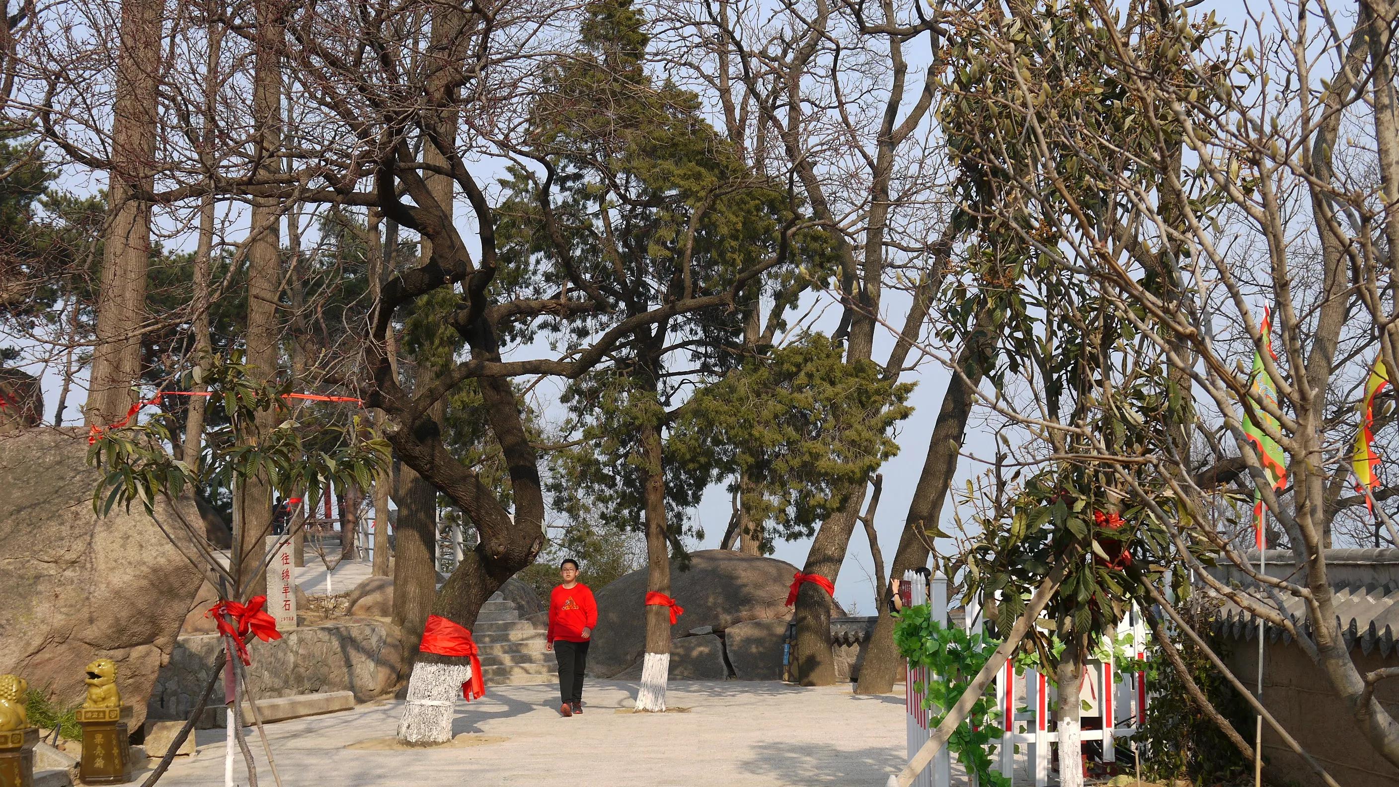 青岛仰口景区怎么去,青岛崂山仰口索道