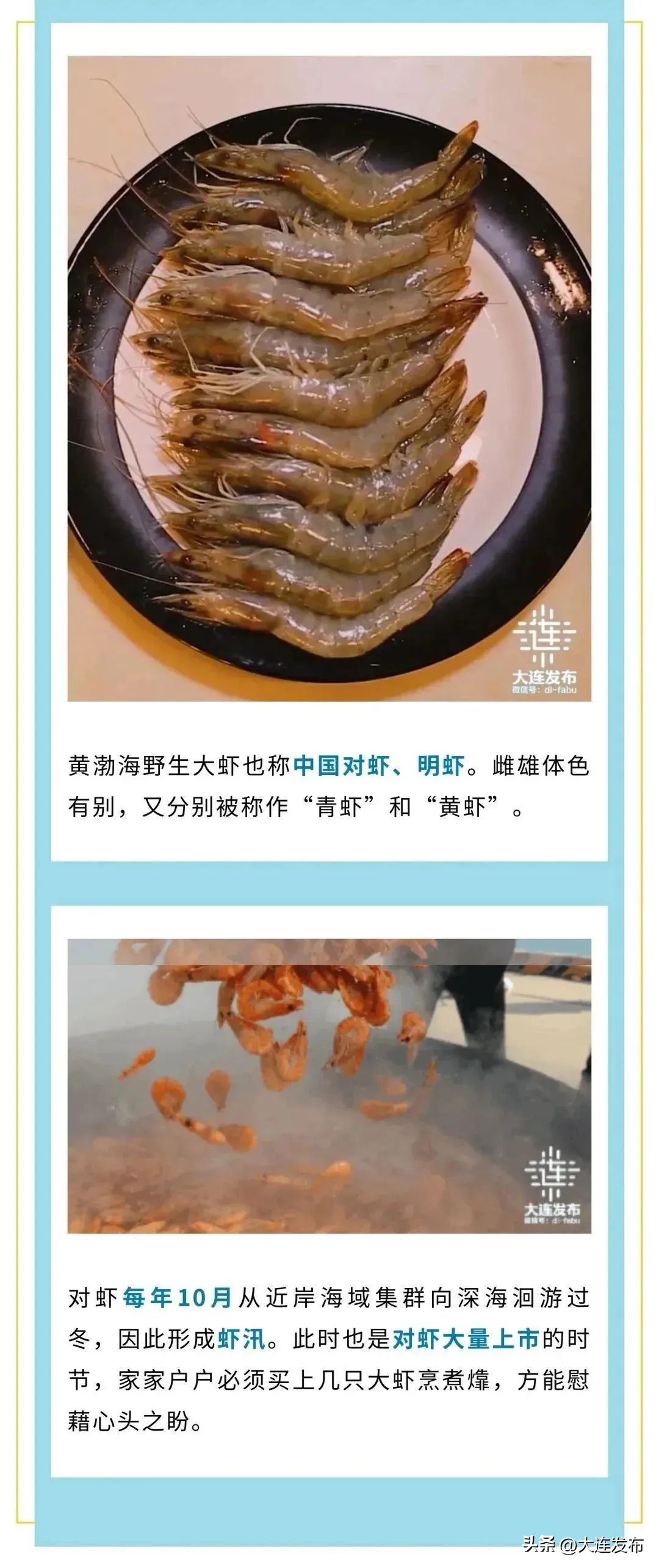 实现海鲜自由的秘诀,实现海鲜自由另一种说法