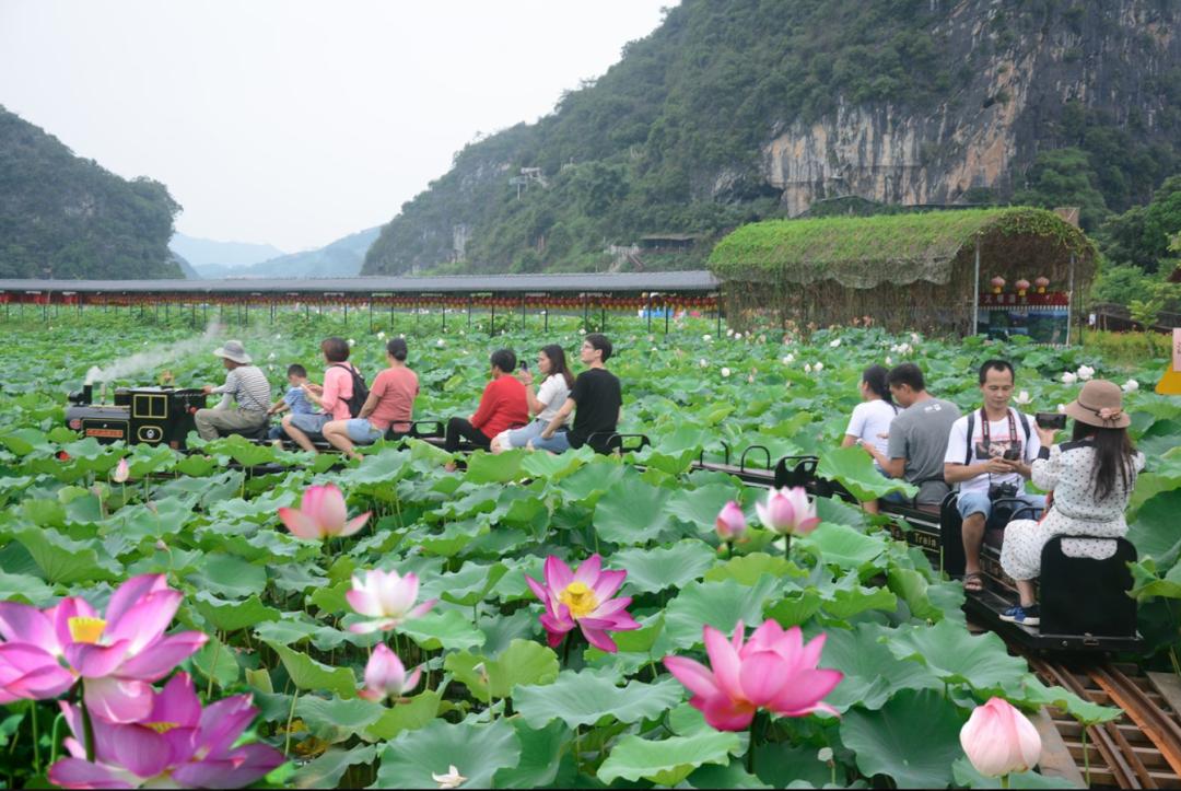 广州清远一日游必去景点,清远宝墩湖附近旅游攻略