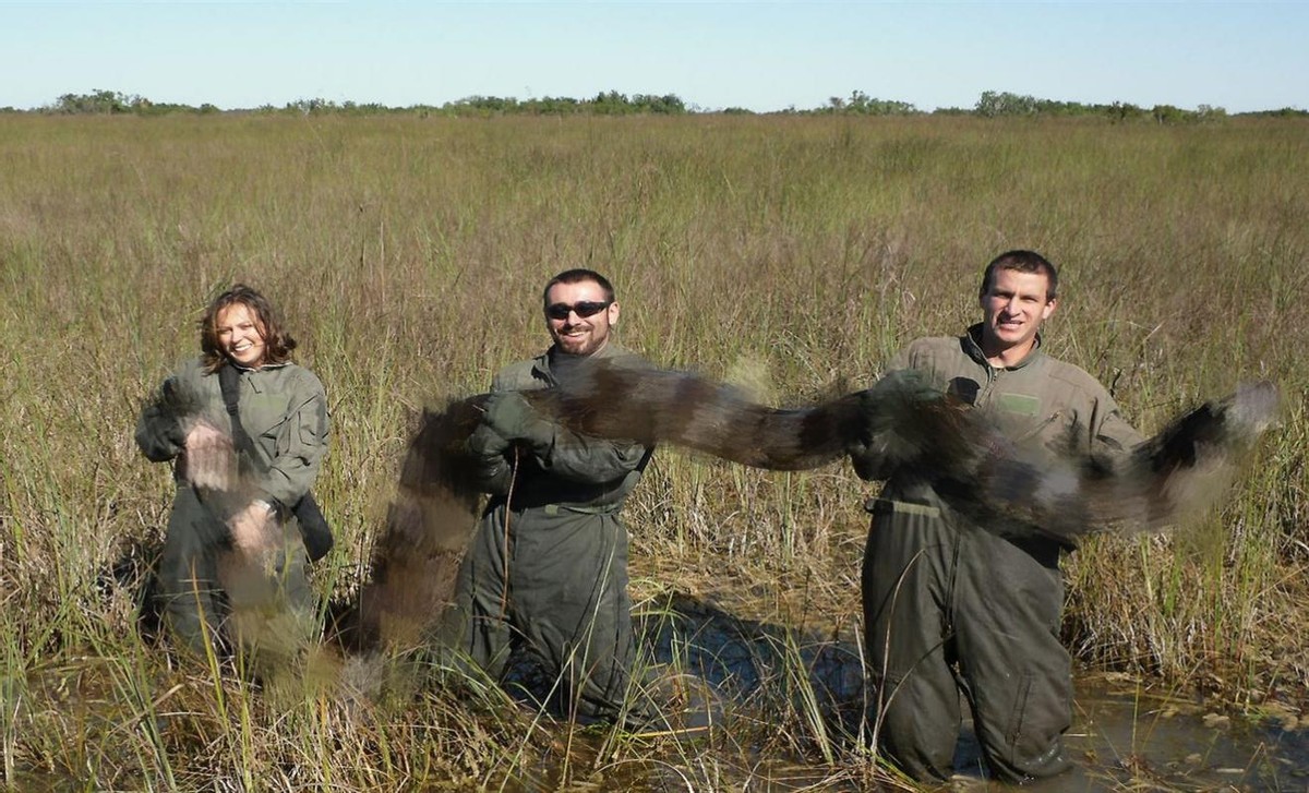 世界最大蛇蟒能有多少公斤,网纹蟒是世界上最大的蛇吗