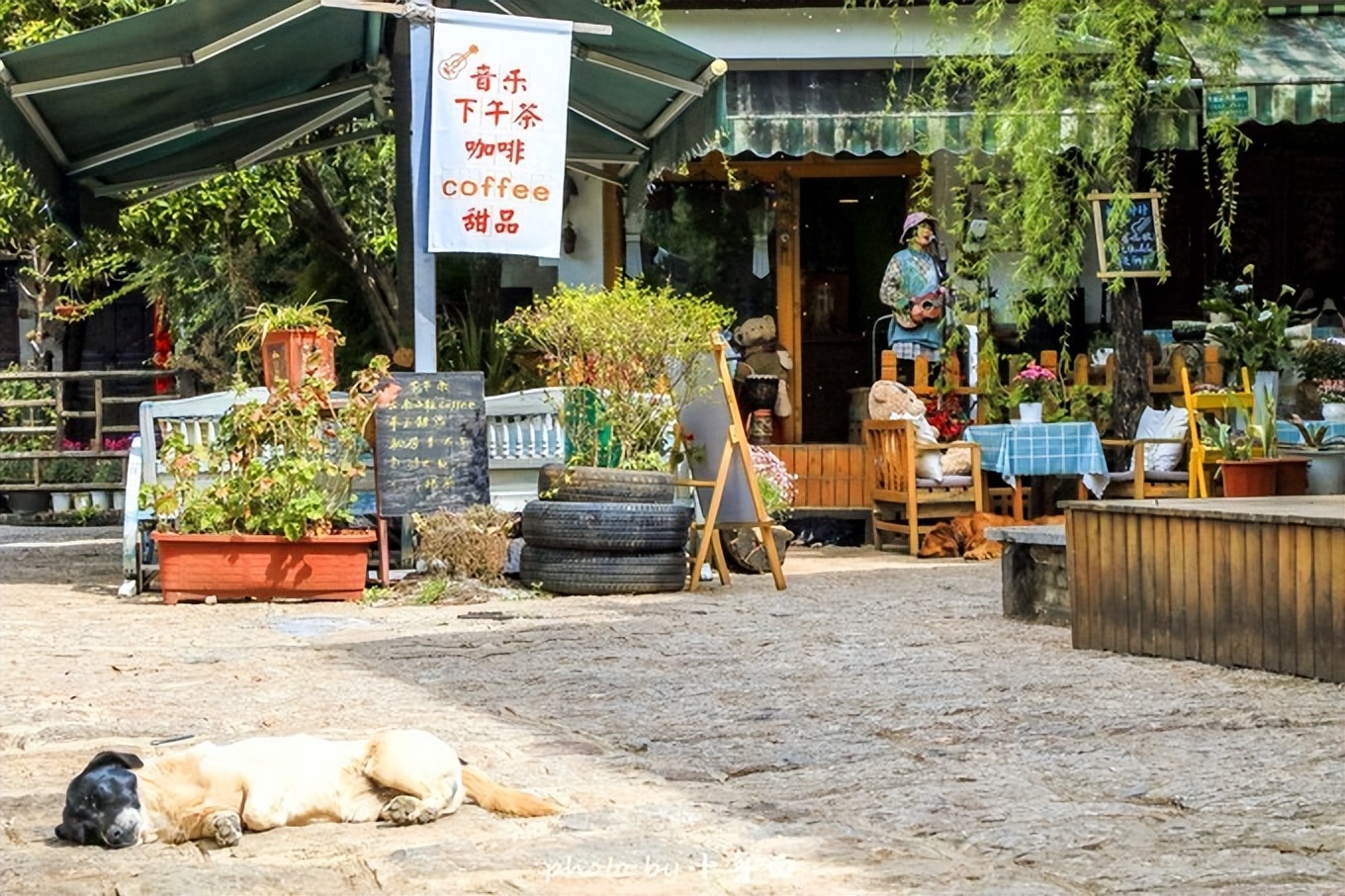 玩转云南自由行,昆明大理丽江6天5晚游多少钱