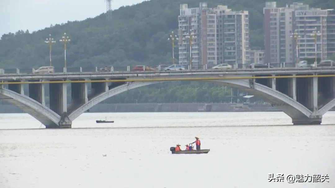 2019韶关龙舟直播,2021韶关龙舟比赛直播