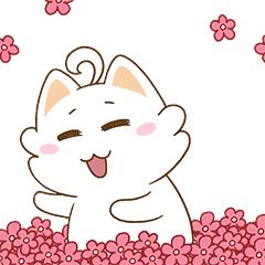 全省首批两所示范学校,全省33所示范校84所创建单位