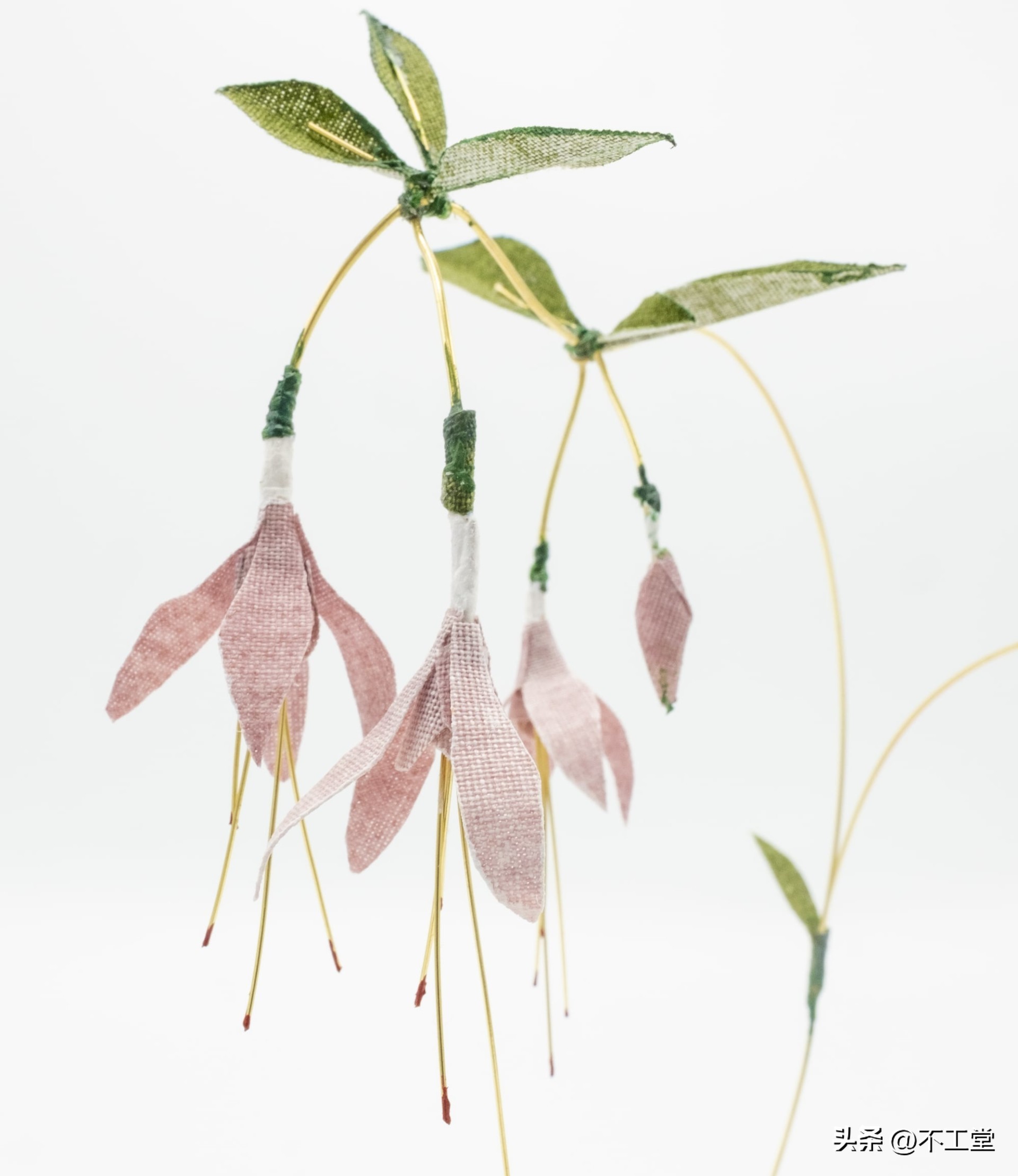 手工压花康乃馨植物标本,中学生手工植物标本