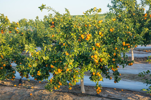 婚礼祝福词,婚礼祝福词200字