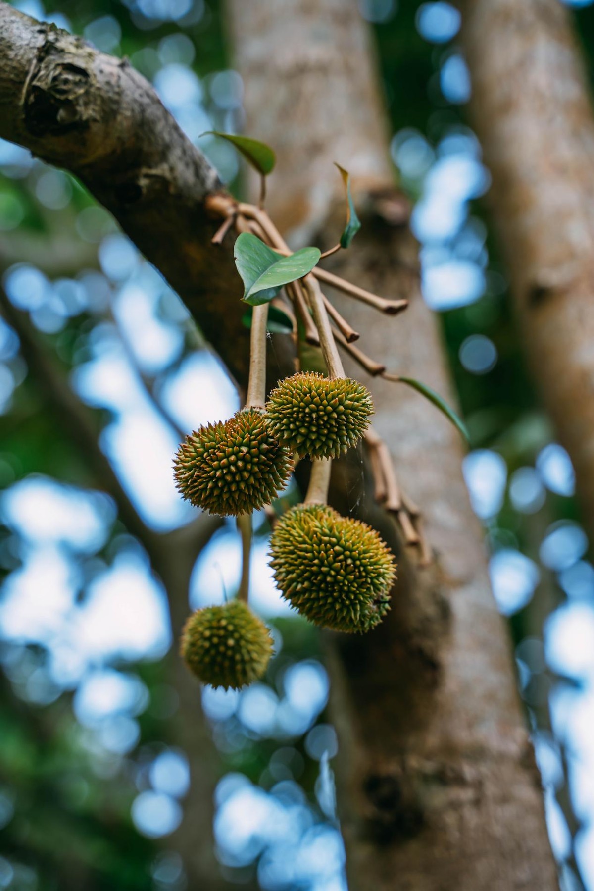 炎炎夏日，踏浪而来，赶赴一场和海南的约“惠”