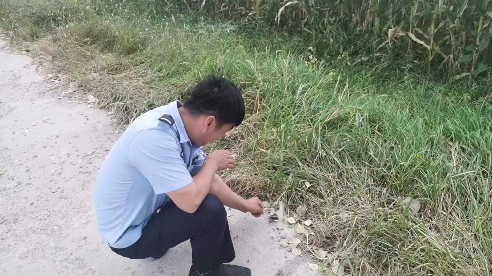 内蒙古出现“尖嘴鼠”，每分钟心脏能跳1200下，哺乳界的用毒高手