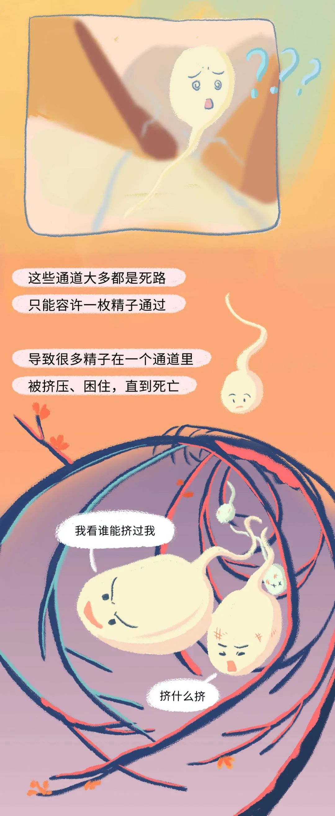女人是如何怀孕的呢,女性怀孕的全部过程