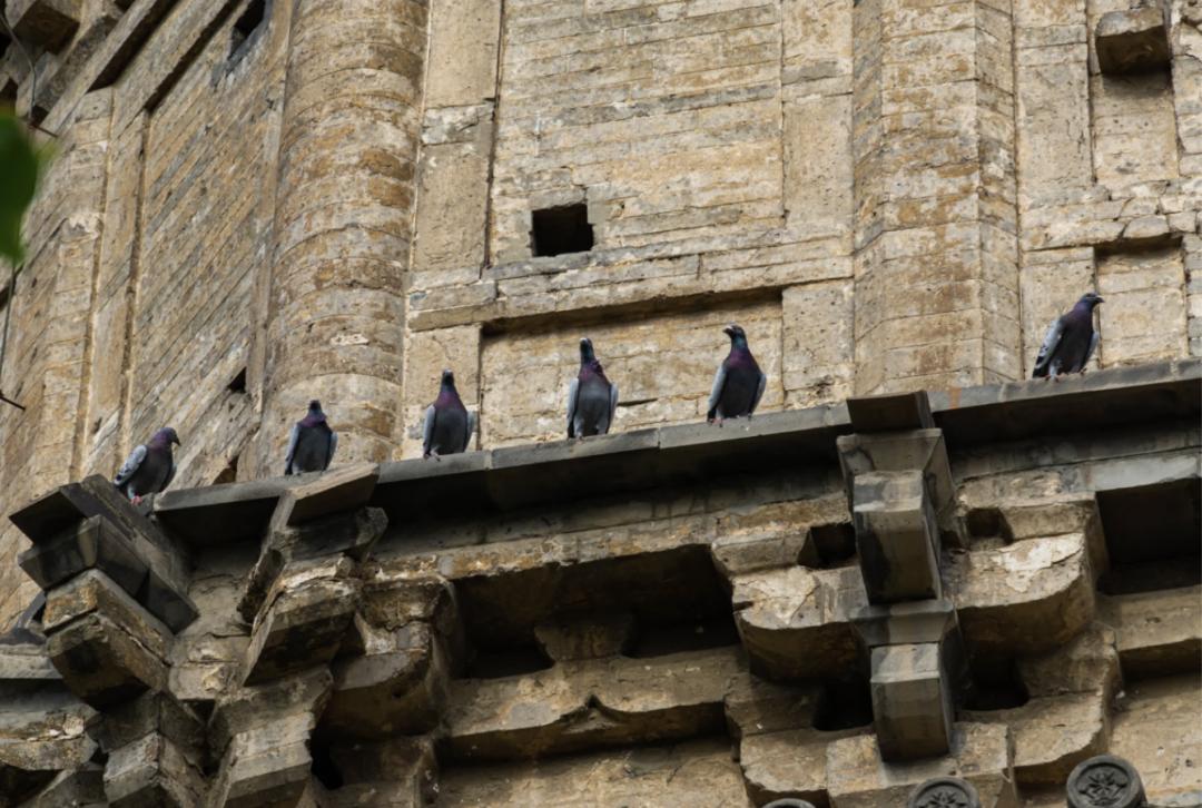 为什么涿州成为县级市,为什么是涿州不是固安