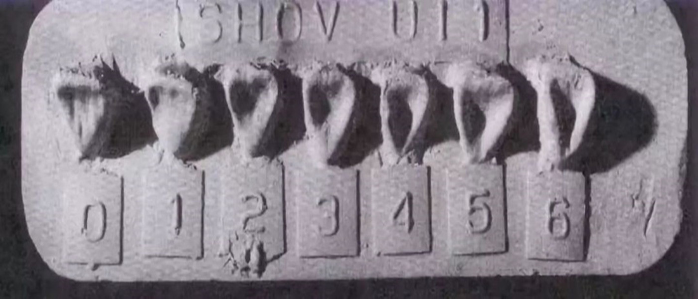 中国人是如何变“黄”的，明明皮肤一点不黄，为何被欧美称黄种人