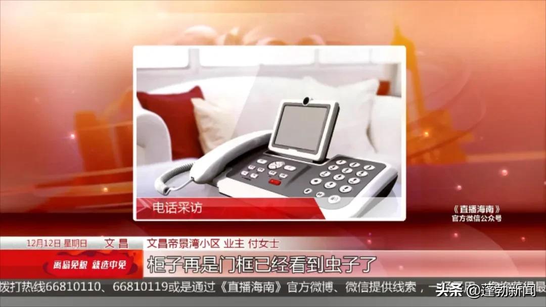 大量白蚁在家中筑巢啃噬家具，令人头皮发麻！如何防范看这里→