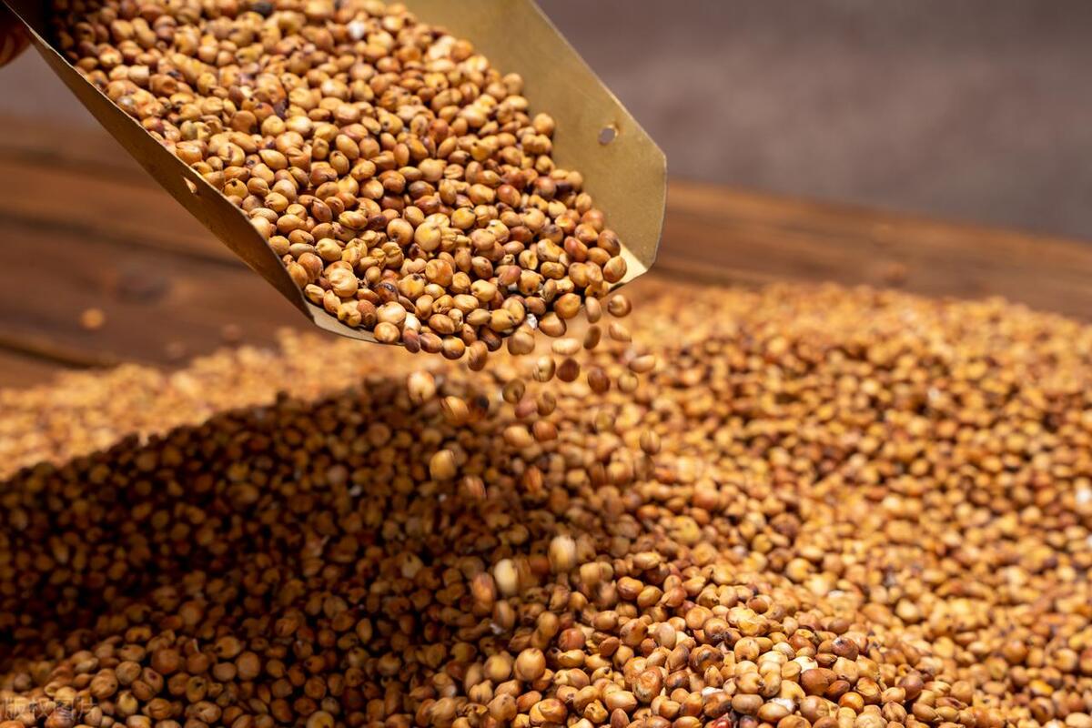 三分钟读懂中国白酒简史,三分钟解读白酒酒标