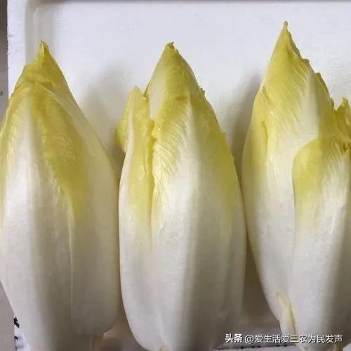 投资小适合农村的创业项目有哪些,最有前景的10个农村创业项目