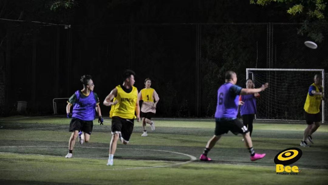 “黑红”的飞盘，商业化的前夜