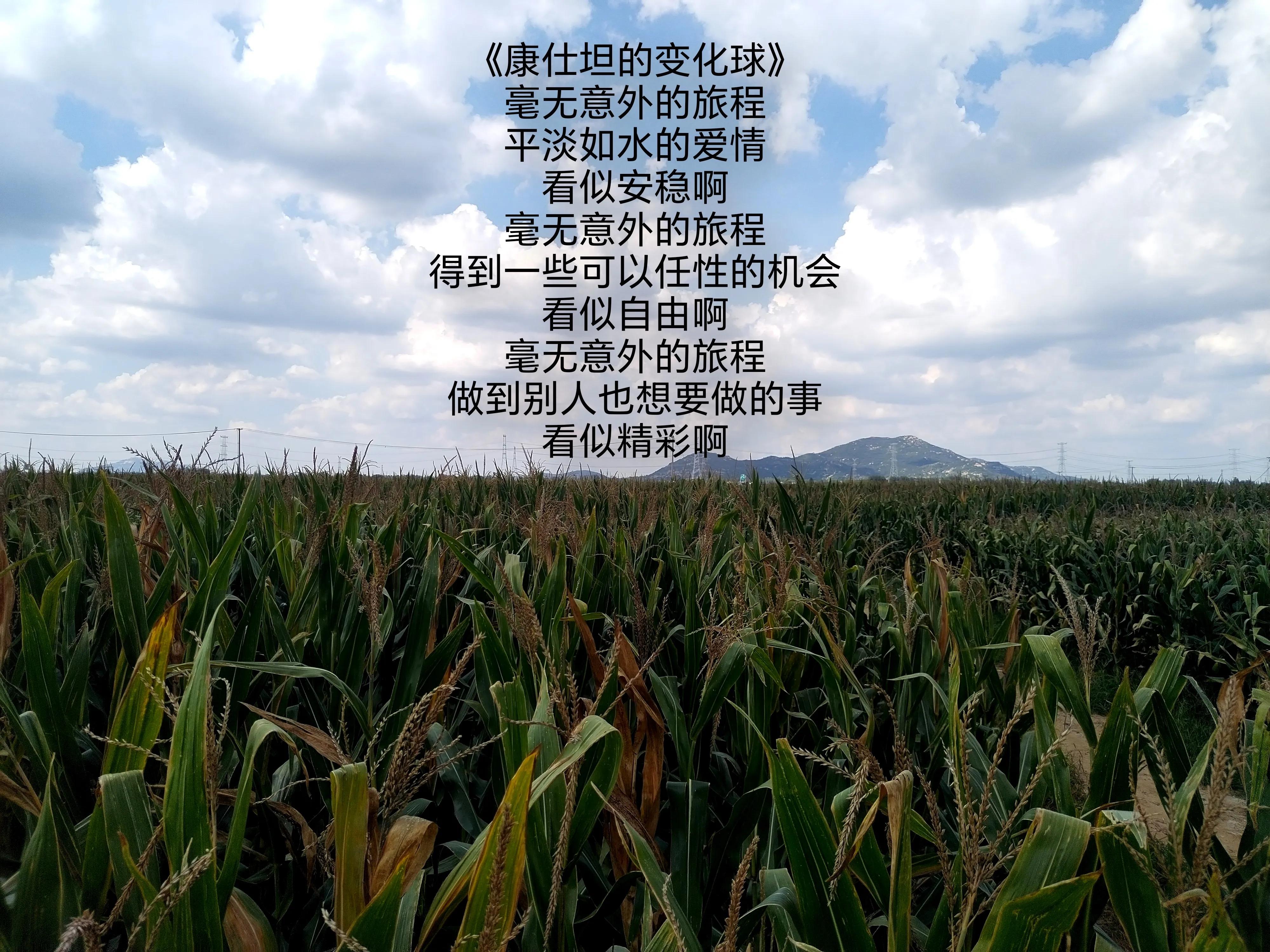 这半推半就的人生怎么过,我们半推半就的人生怎么过啊